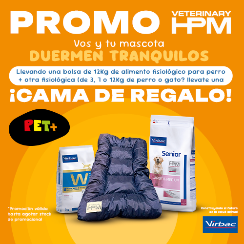 CAMA HPM
