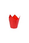 Tulipa 15x5 cm ROJO