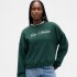 LOGO WEDGE PULLOVER DEEP HUNTER 505