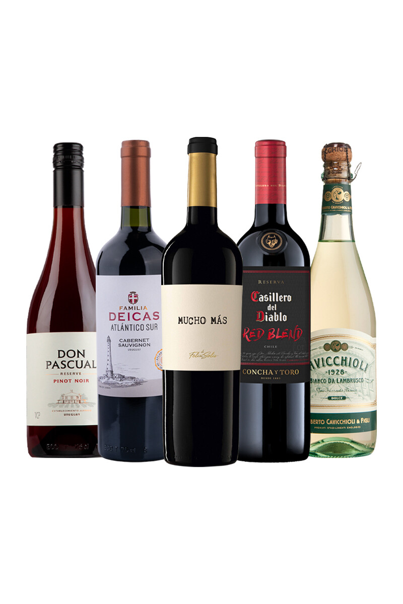 Pack Bacán Momento Pausa x5 vinos Sin Apuro 