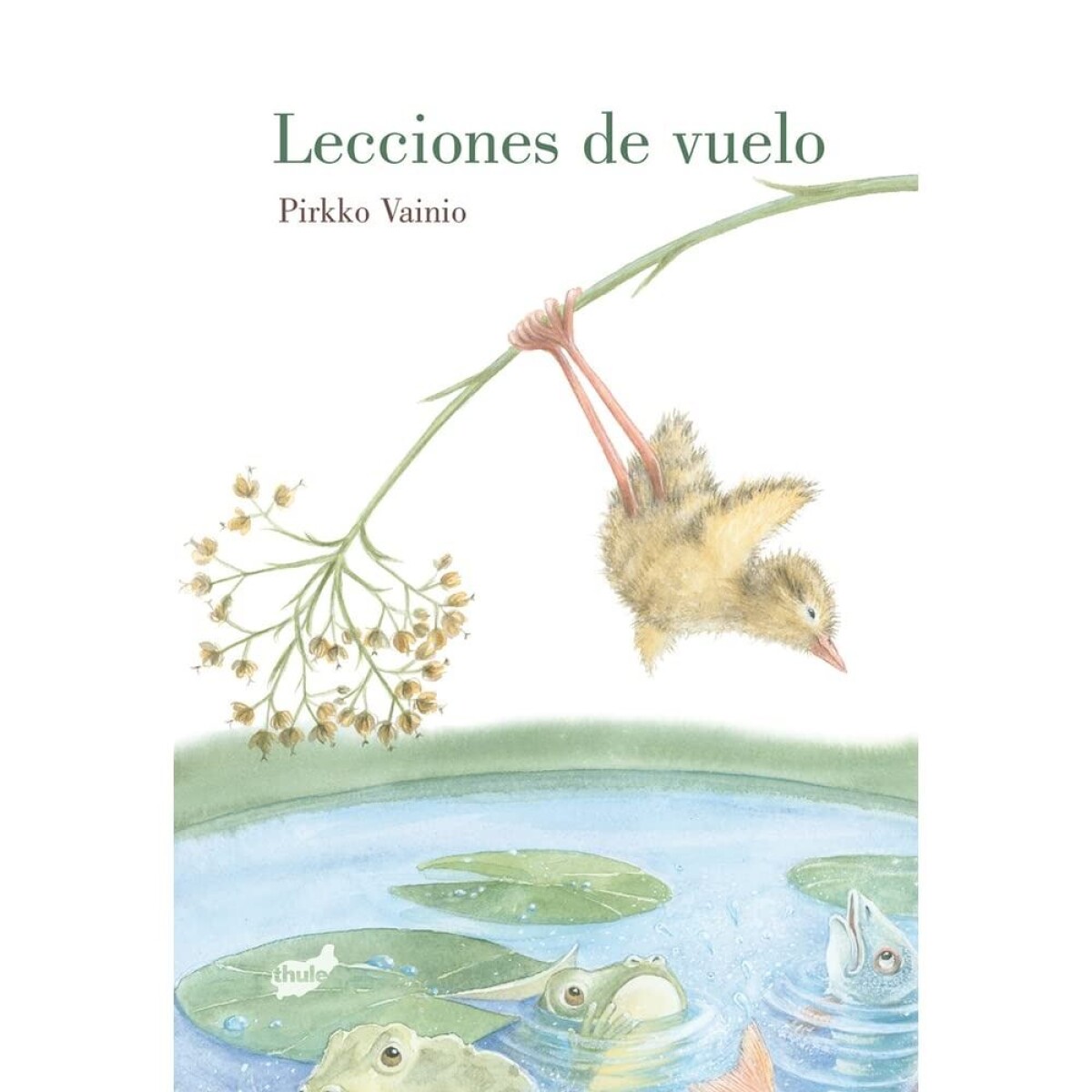 Lecciones De Vuelo 