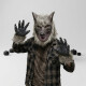 Disfraz De Lobo Disfraz De Lobo