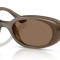 RayBan Oval Marron
