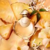 Perfume Rabanne Olympea Elixir Femme Edp 80ml Perfume Rabanne Olympea Elixir Femme Edp 80ml