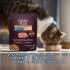 GRAN PLUS EN SALSA GATO CASTRADO POLLO 85 GR