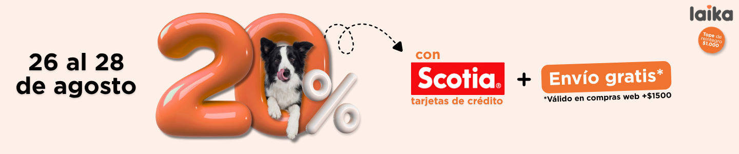 Scotia Agosto