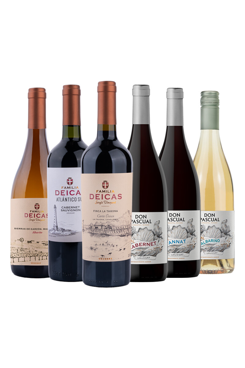 Pack Bacán Selección Coordenada Atlántica x6 vinos uruguayos 