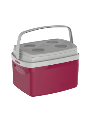 Conservadoras portátiles