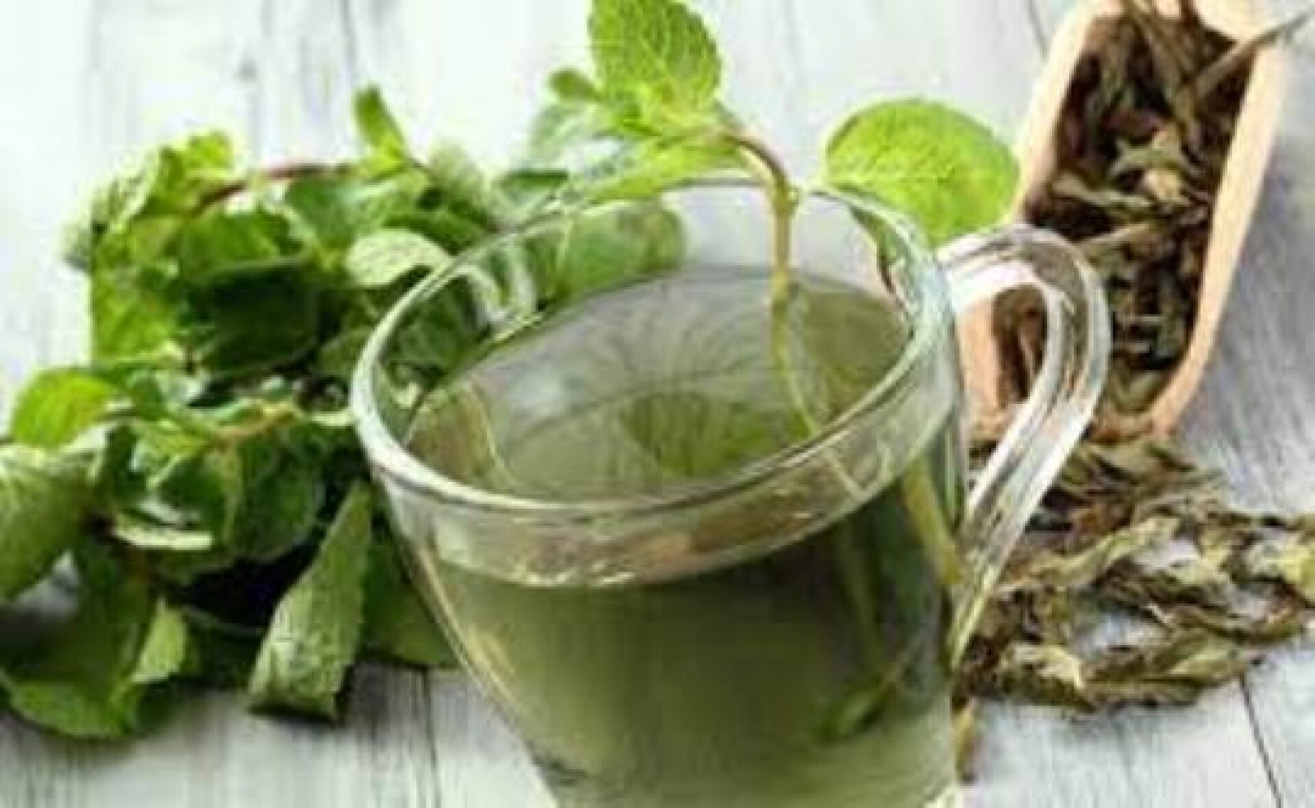 NAT-TE VERDE NITER 100G 