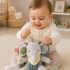 Colgante multisensorial pastel elefante XL SKIP HOP Colgante multisensorial pastel elefante XL SKIP HOP