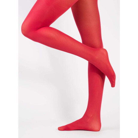 Can can hivernal Rojo