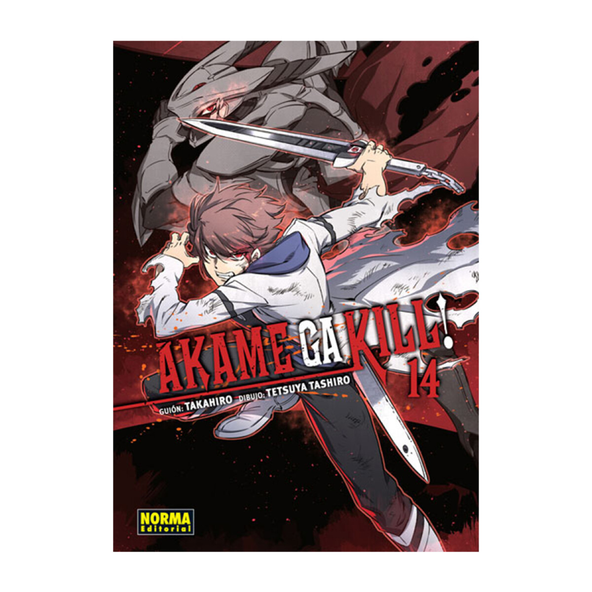 Akame ga Kill! - Tomo 14 