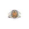 Anillo Profesión Peluquería-Plata y Oro-Sin Piedra-AP5013 sinpiedra