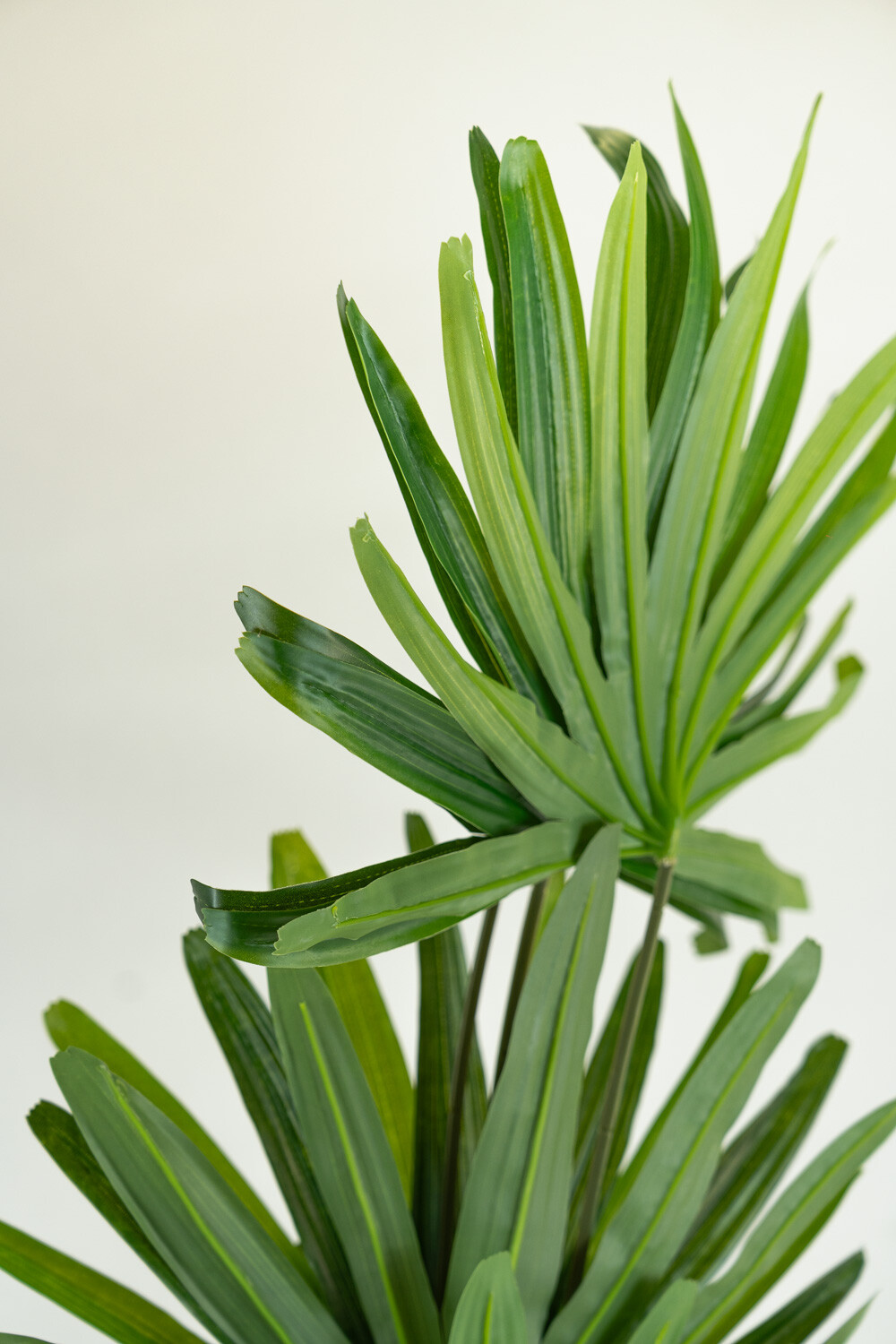 Planta Palm100cm Color Unico