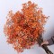 Ramo Frondoso De Flores Secas Naranja