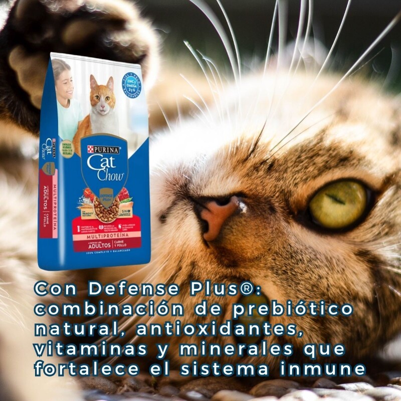 CAT CHOW GATOS ADULTOS CARNE Y POLLO 15 KG
