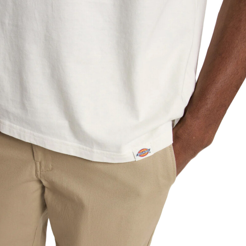 Remera Dickies Flag - Multicolor Remera Dickies Flag - Multicolor