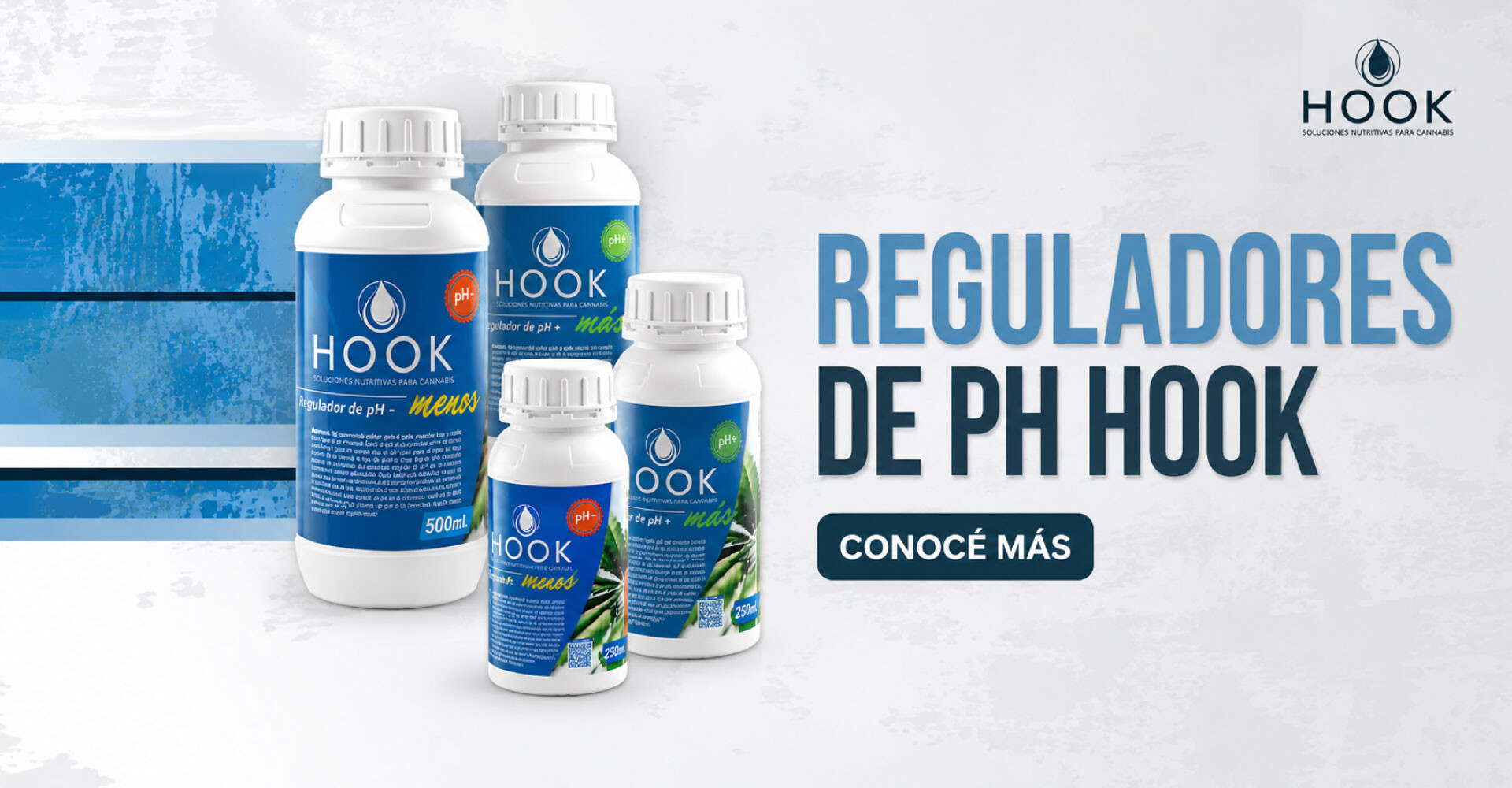 Nuevo Ingreso Reguladores Hook