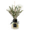 Difusor de aromas flores Blancas