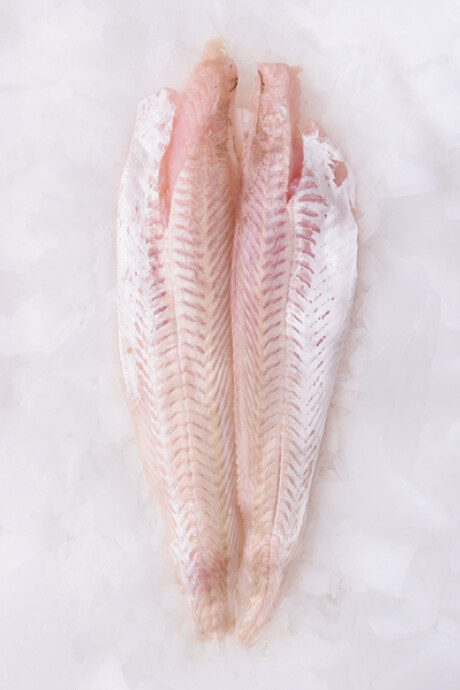 Filete de Merluza Fresca 500g