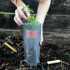 DIFUSOR BASIC COMPOST LIMA PEONÍAS