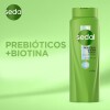 Shampoo Prebióticos Más Biotina Sedal 650 ml Shampoo Prebióticos Más Biotina Sedal 650 ml