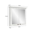 CONJUNTO DE BAÑO VALENCIA CRISTAL 80 CM / MUEBLE + BACHA + ESPEJO Conjunto De Baño Valencia Cristal 80 Cm / Mueble + Bacha + Espejo