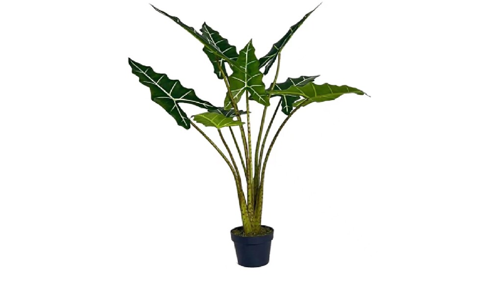 Alocasia Sarian Artificial Alocasia Sarian Artificial