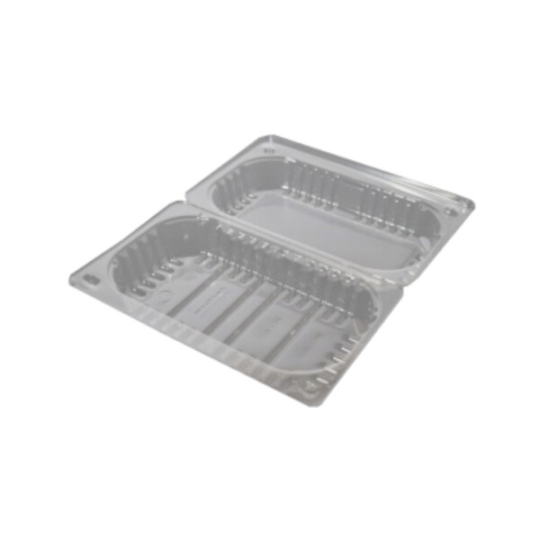 BLISTER CRISTAL CON TAPA BISAGRA 19X12X6 CM. TRANSPARENTE