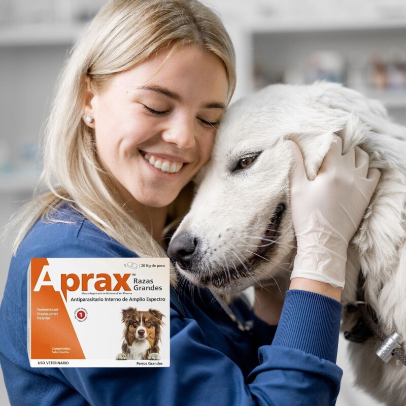 APRAX ANTIPARASITARIO CAJA 60 COMPRIMIDOS SABORIZADOS APRAX ANTIPARASITARIO CAJA 60 COMPRIMIDOS SABORIZADOS