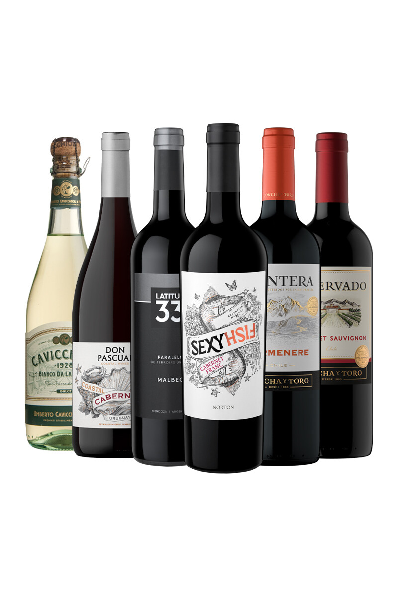 Pack Bacán Selección Bacanazo Fin de Año x6 vinos versátiles más un espumante 