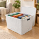 Set x2 Caja ratán 40 lts BLANCO