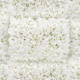 Panel de Flores Blancas Panel de Flores Blancas