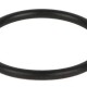 INTEX REPUESTO JUNTA TORICA CELULA ELECTROLITICA TITANIO Intex Repuesto Junta Torica Celula Electrolitica Titanio