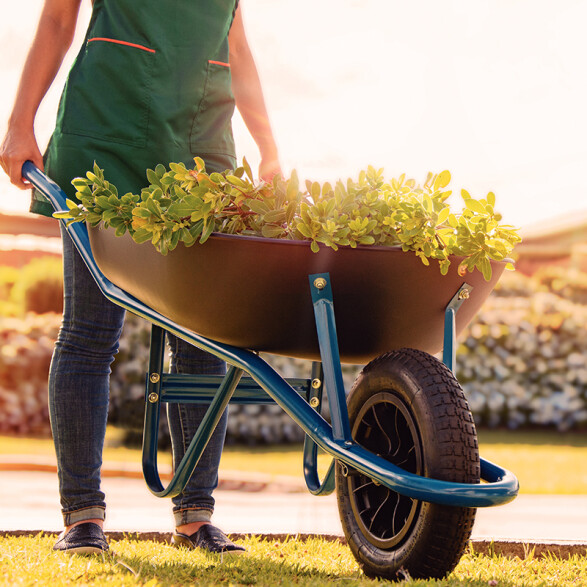 Carretilla plastica con rueda inflable, 50 litros -TRAMONTINA TN1532