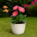 MACETA REDONDA 27 CM UMBRA BLANCA Blanco