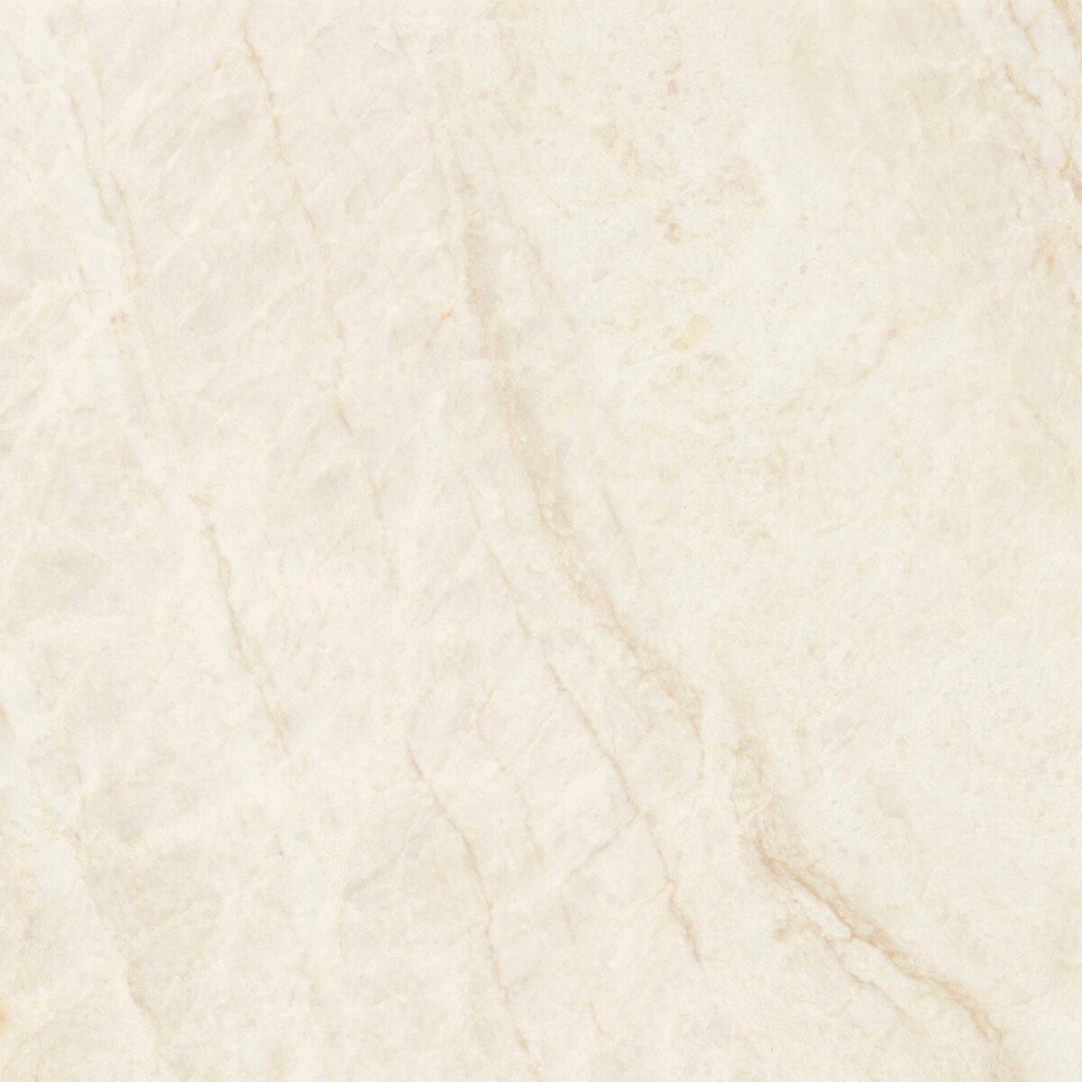 Porcelanato Mahal Marfim Po 60x60 Cm 