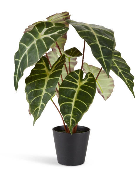 Planta artificial MARIUS Ø38xA42cm Planta artificial MARIUS Ø38xA42cm