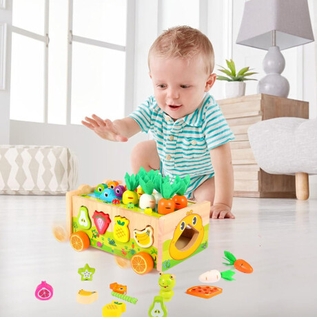 Juguete Educativo Huerta De Madera Con Imán Didáctico Bebés Multicolor