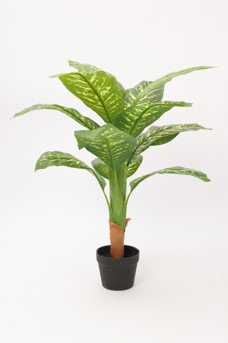 Planta Galatea 100cm Color Unico