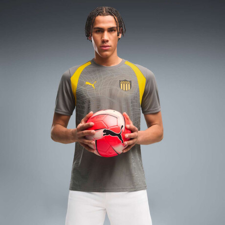 Remera Cap Tr.Camiseta de Hombre Gris