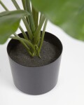 Planta artificial Alocasia Odora con maceta negro 57 cm Planta artificial Alocasia Odora con maceta negro 57 cm
