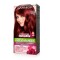 Garnier Cor intensa Tono 5.62