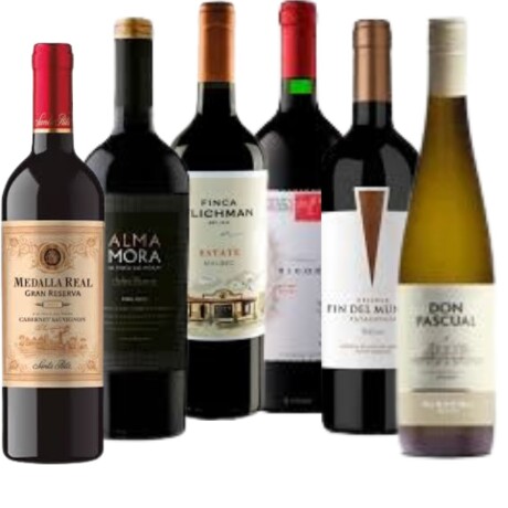 Promo 6 Vinos Jóvenes y Reservas Promo 6 Vinos Jóvenes y Reservas