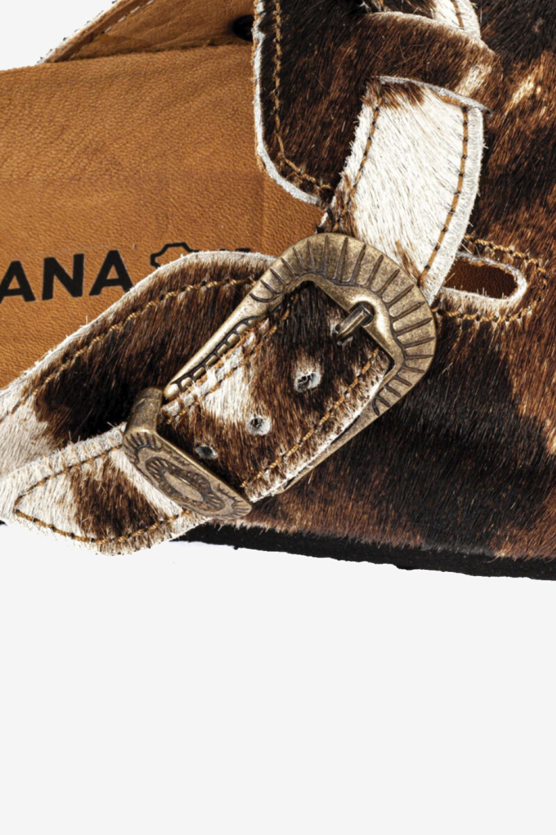 CLOG CORAL Animal Print