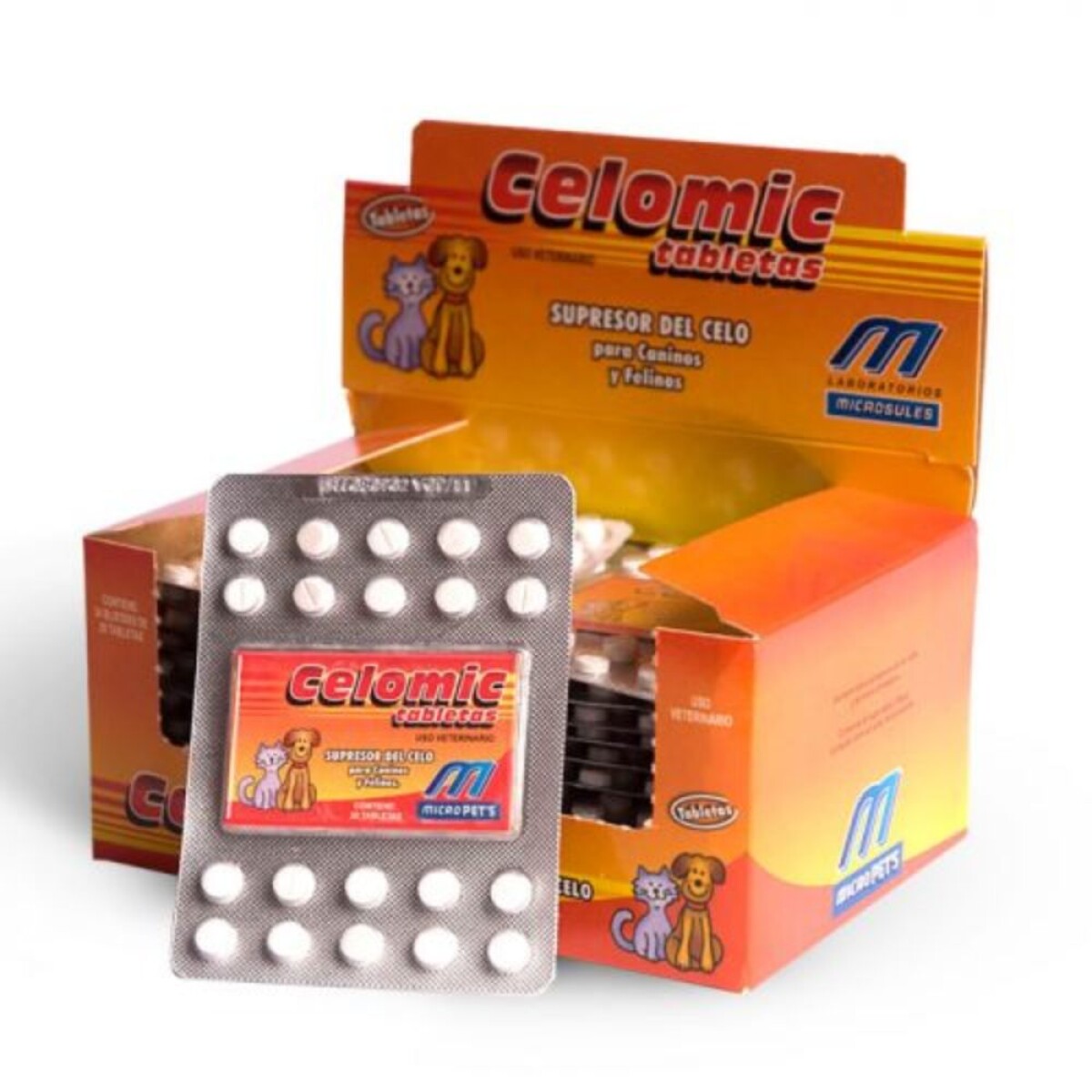 Celomic Blister 