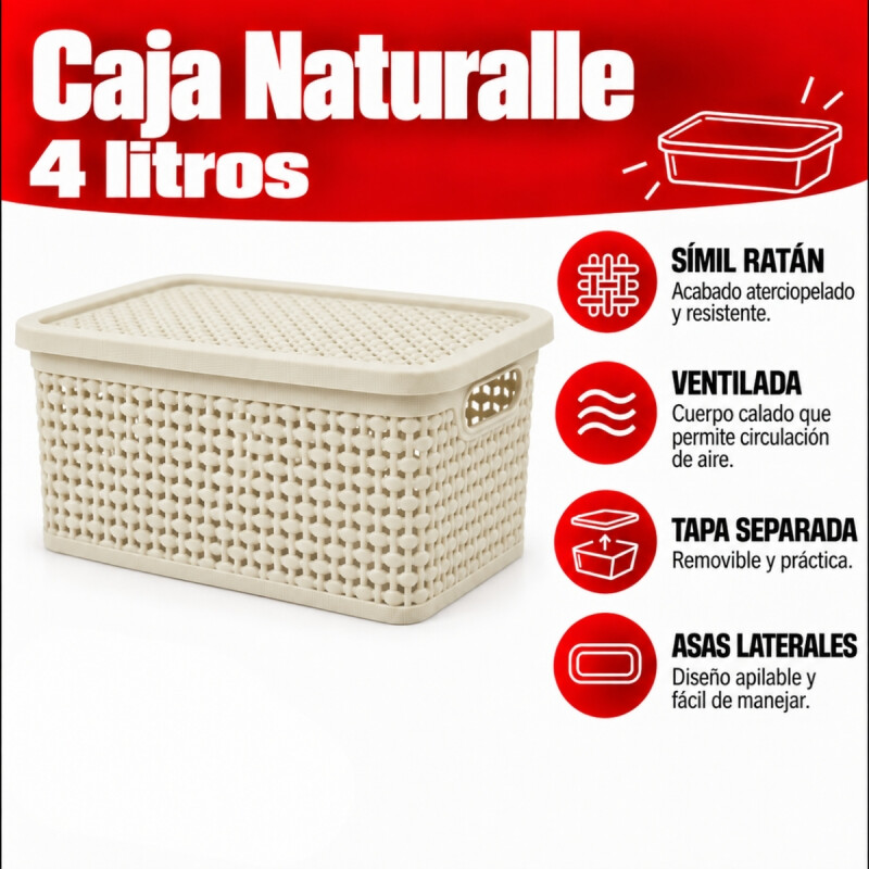 Set x10 caja simil ratán 4 lts BEIGE