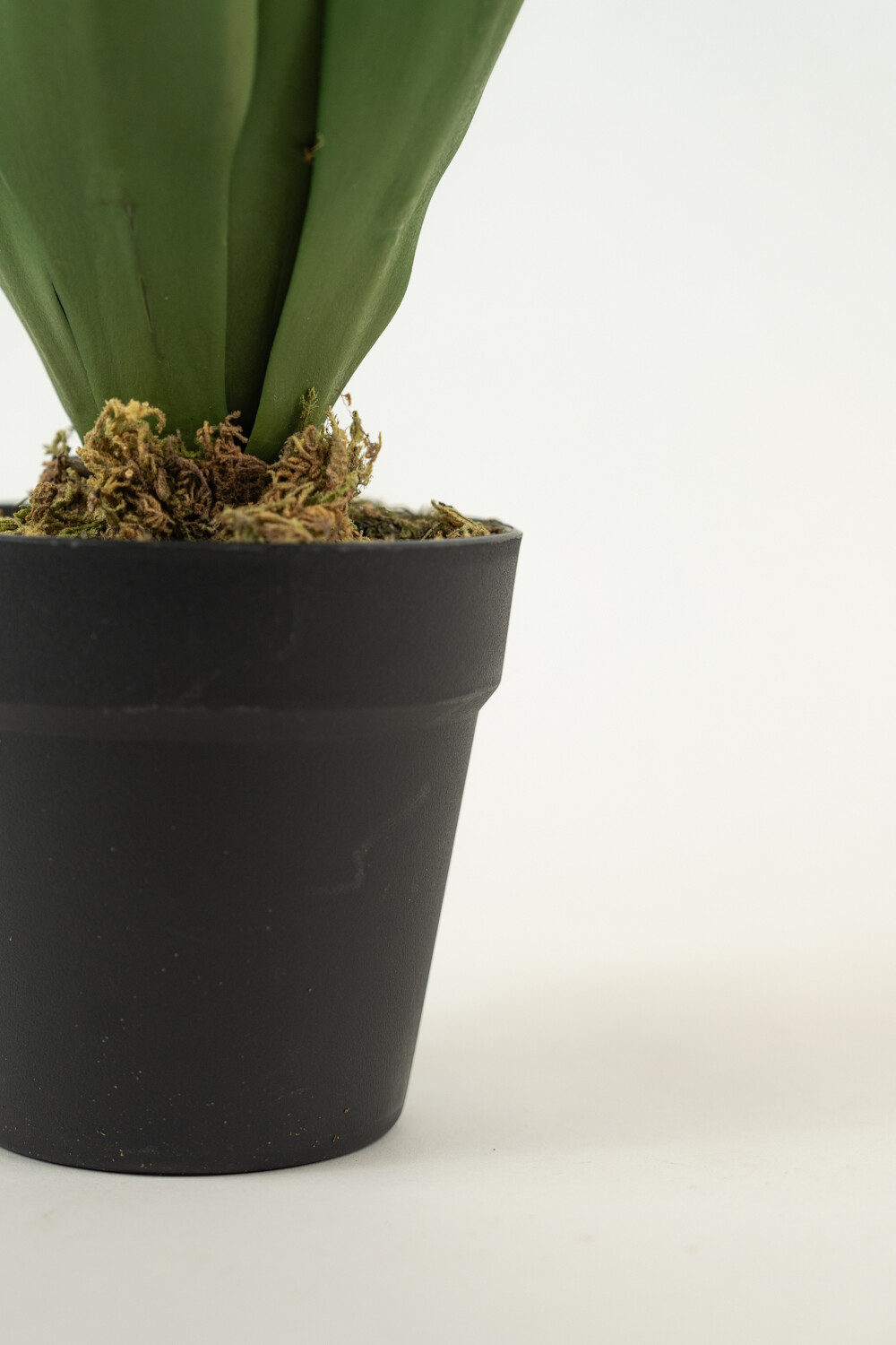 Planta Yucca 35cm Color Unico