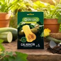 SEMILLAS DE CALABACIN BUTTERNUT 5G SEMILLAS DE CALABACIN BUTTERNUT 5G