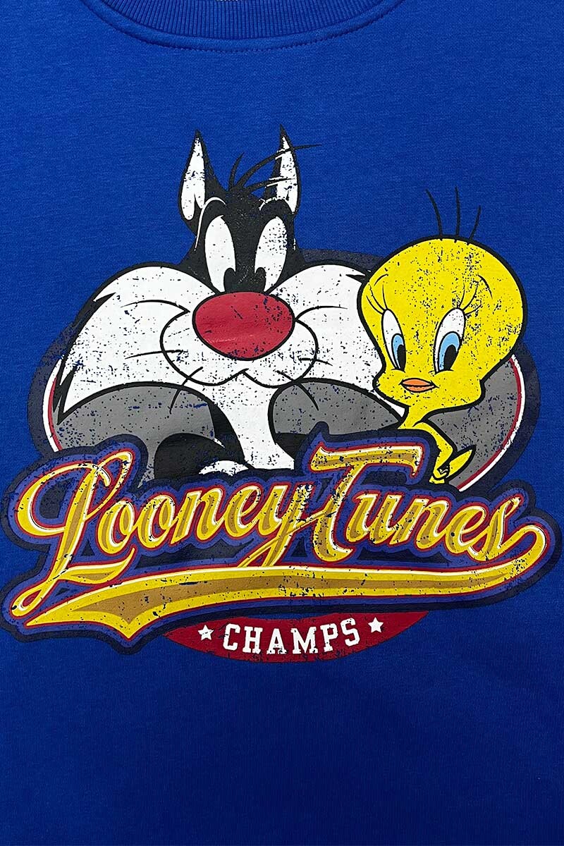 BUZO LOONEY TUNES SILVESTRE Y PIOLIN Azul